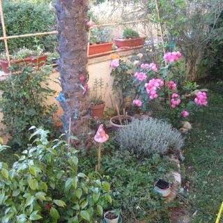 Apartmanok Parkolóhellyel Liznjan, Medulin - 11158 Ližnjan (5)