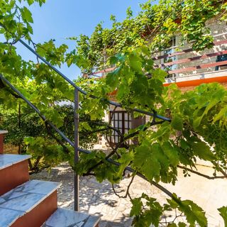 Apartmanok Parkolóhellyel Krnica, Marcana - 7358 Krnica (5)