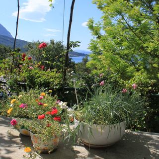 Apartmanok és Szobák Parkolóhellyel Tucepi, Makarska - 6901 Tučepi (4)