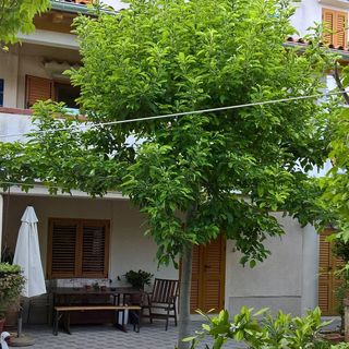 Apartmanok Parkolóhellyel Nerezine, Losinj - 8049 Nerezine (3)