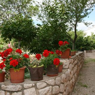 Apartmanok Parkolóhellyel Novi Vinodolski - 5514 (3)