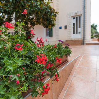 Apartmanok A Tenger Mellett Grebastica, Sibenik - 965 Grebaštica (4)