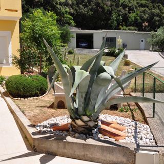 Apartmanok A Tenger Mellett Supetarska Draga - Gornja, Rab - 5055 Supetarska Draga - Gornja (4)