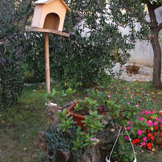 Apartmanok Parkolóhellyel Zadar - Diklo, Zadar - 5875 Zadar - Diklo (5)