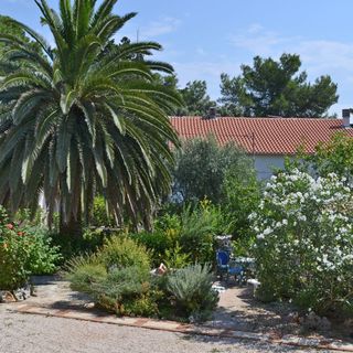 Apartmanok Parkolóhellyel Veli Losinj, Losinj - 8029 Veli Lošinj (4)
