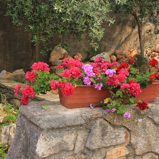 Apartmanok Parkolóhellyel Veli Losinj, Losinj - 8029 Veli Lošinj (5)