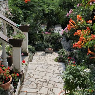 Apartmanok és Szobák A Tenger Mellett Dramalj, Crikvenica - 5519 Dramalj (4)