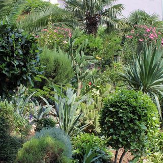 Apartmanok és Szobák A Tenger Mellett Dramalj, Crikvenica - 5519 Dramalj (5)