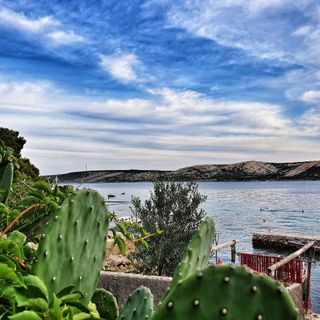 Apartmanok A Tenger Mellett Stara Novalja, Pag - 6470 Stara Novalja (5)