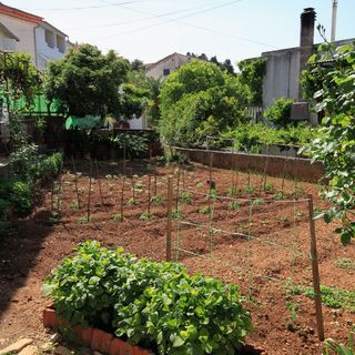 Apartmanok A Tenger Mellett Jelsa, Hvar - 196 Jelsa (5)