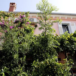 Apartmanok A Tenger Mellett Mali Losinj, Losinj - 12634 Mali Lošinj (4)