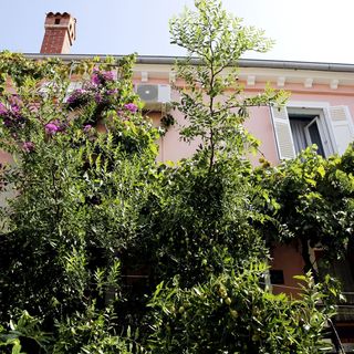 Apartmanok A Tenger Mellett Mali Losinj, Losinj - 12634 Mali Lošinj (4)