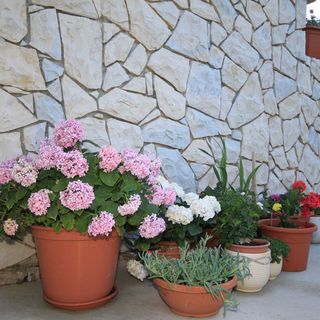 Apartmanok Parkolóhellyel Punta Kriza, Cres - 8082 Punta Križa (5)