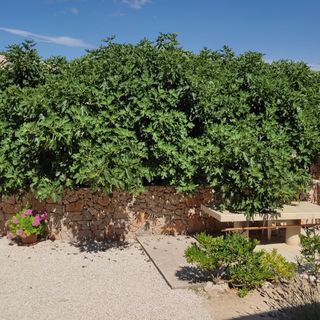 Apartmanok A Tenger Mellett Kustici, Pag - 9036 Kustići (5)