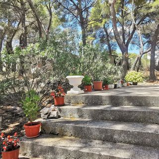 Nyaralóház Parkolóhellyel Sumartin, Brac - 12047 Sumartin (5)