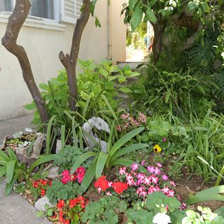 Apartmanok Parkolóhellyel Trpanj, Peljesac - 10111 Trpanj (3)