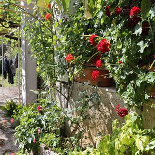 Apartmanok Parkolóhellyel Trpanj, Peljesac - 10111 Trpanj (4)