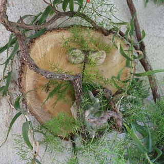 Apartmanok Parkolóhellyel Trpanj, Peljesac - 10111 Trpanj (5)