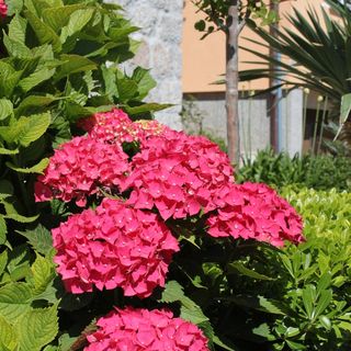 Apartmanok Parkolóhellyel Mali Losinj, Losinj - 8024 Mali Lošinj (5)