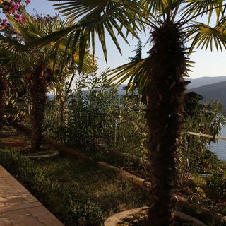 Apartmanok Parkolóhellyel Rabac, Labin - 7410 Rabac (4)