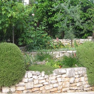 Apartmanok Parkolóhellyel Trogir - 11316 (4)