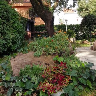 Apartmanok Parkolóhellyel Malinska, Krk - 2390 Malinska (4)