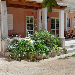 Apartmanok és Szobák A Tenger Mellett Zuljana, Peljesac - 4576 Žuljana (3)