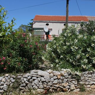 Apartmanok Parkolóhellyel Veli Losinj - 8060 Veli Lošinj (4)