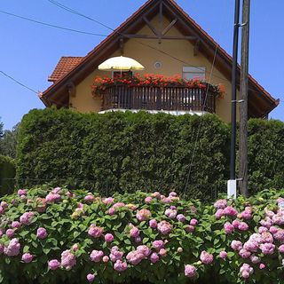 Akácfa Hortenzia Apartman Zalakaros (5)