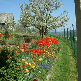 Hegyi Nyaraló Sátoraljaújhely (3)