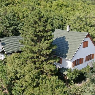 Hegyi Nyaraló Sátoraljaújhely (4)