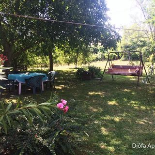 Diófa Apartman Badacsony (2)