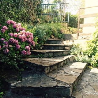 Diófa Apartman Badacsony (3)