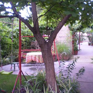 Török Vendégház Balmazújváros (5)