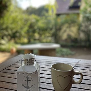 Veronika Apartman Tiszafüred (4)