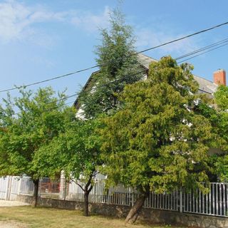 Csokonai Apartman Gyenesdiás (2)