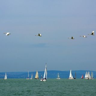 Gréta Medencés Apartman Siófok (3)