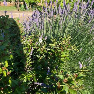 Eszter Apartman Paloznak (3)