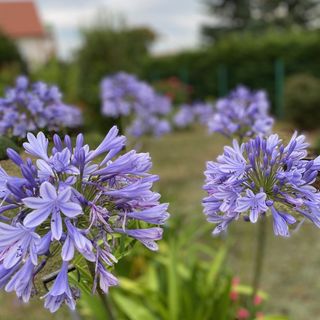 Eszter Apartman Paloznak (5)