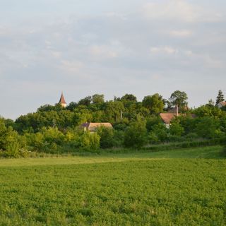 Cicahegy Vendégház Tápióság (2)