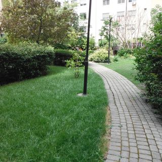 Csongor Apartman Budapest (5)