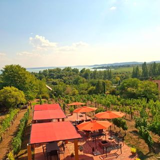 Linczi Ház Csopak (3)