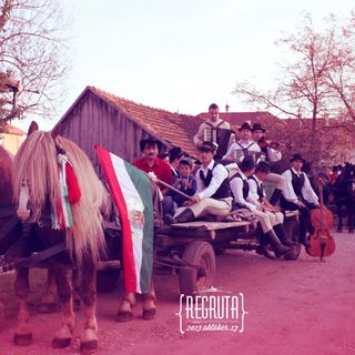 Casa de oaspeți Bartalis Lăzarea (4)