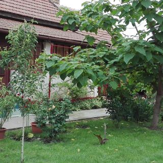 Császárfa Vendégház Abádszalók (2)