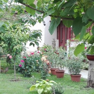 Császárfa Vendégház Abádszalók (3)