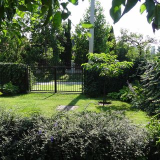 Orsolya Apartman Nyíregyháza (3)