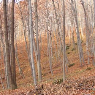 Tó Vendégház Abaliget (3)