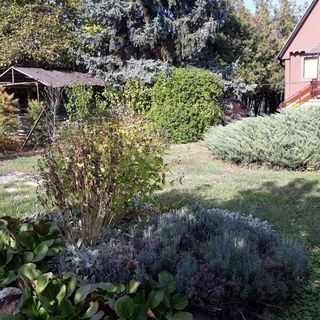 Pedro-lak Apartman Balatonkenese (5)