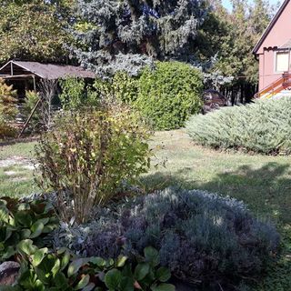 Pedro-lak Apartman Balatonkenese (5)