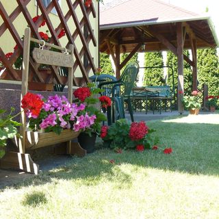 Béke Sarok Vendégház Mórahalom (3)